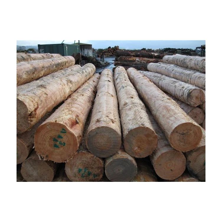 2x4 Упаковочная древесина тополь древесная фанера для строительства