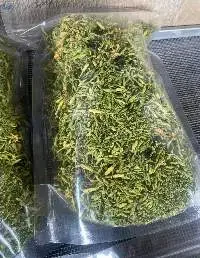 DRIED MALE PAPAYA FLOWERS / AROMATIC HERBAL BLEND HIGH-QUALITY MADE in VIETNAM