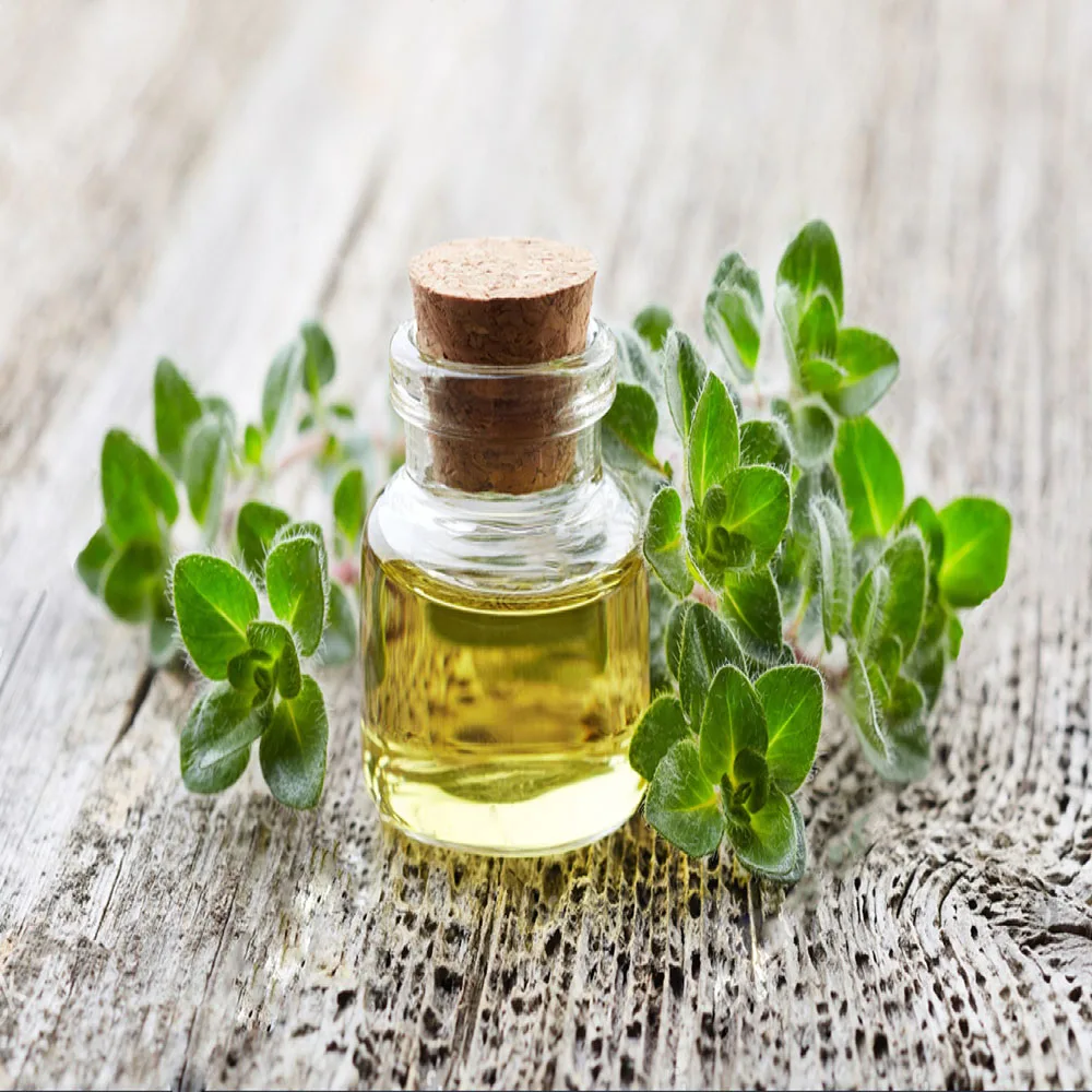 Oregano Oil 100% Pure and Natural for Food Cosmetic and Pharma Grade Impeccable Quality at the Best Prices