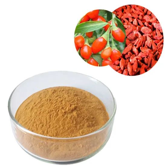 Pure Goji Berry Extract Supplement for Immune Support and Skin Health from Indian Supplier