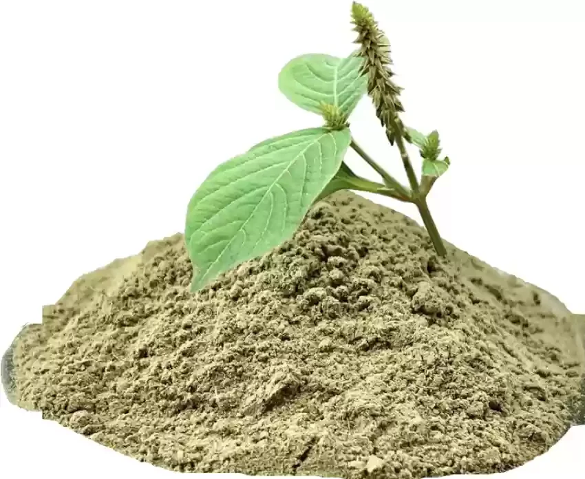 Чистый и натуральный порошок для ухода за кожей от индийского поставщика по лучшим ценам