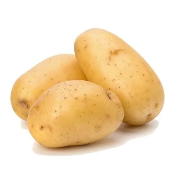 best quality Fresh Potatoes Wholesale High manufacturer new Best material With cheap rate