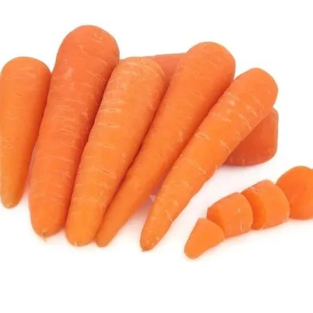Cheap Vegetables Fresh Carrots Seed for Wholesale Export New Red Fresh Juicy and Sweet Carrots on Cheap Wholesale
