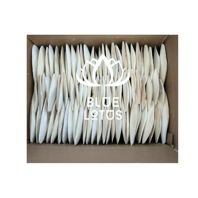 Лидер продаж синий Лотос сушеная кость каракатицы из кальмаров для экспорта птичьего попугая