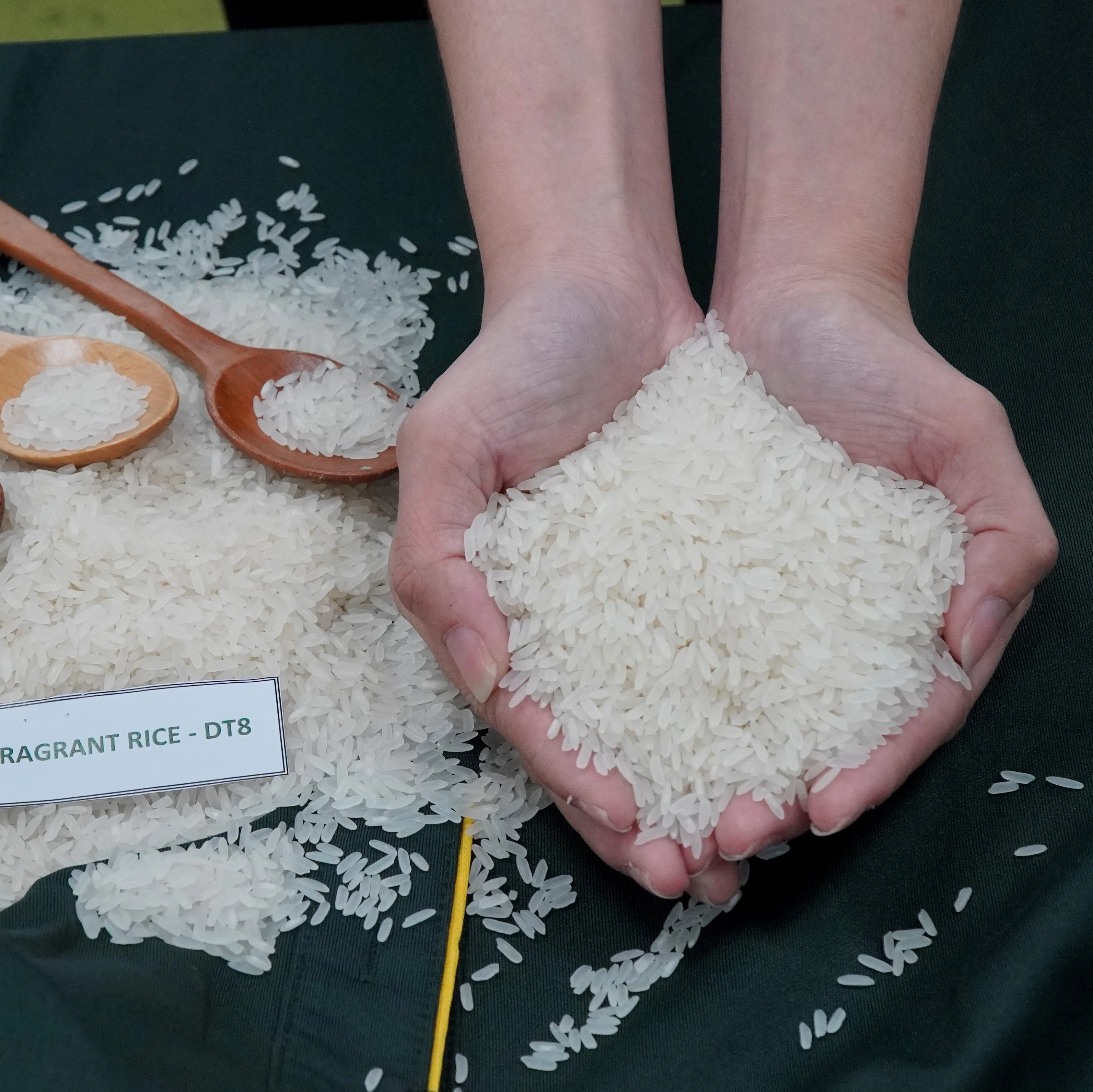 High quality long grain DT8/Jasmine white fragant rice packing 1kg,5kg,25kg,50kg from Vietnam for wholesales