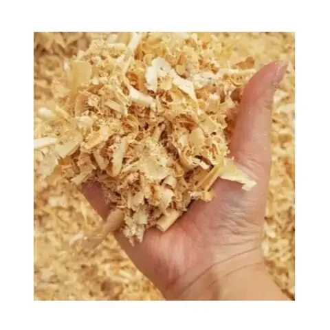 Wholesale Cheap price high quality Pine Wood Shavings For Horse Bedding/Pine Sawdust Wood Shavings wood Sawdust wholesale