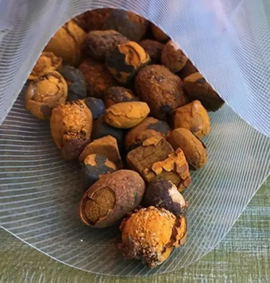 100% натуральные высококачественные желчные камни Ox для крупного рогатого скота коровы оптовая