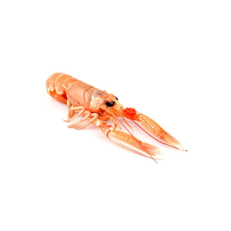 Suppliers Frozen Whole Seafood Products Giant Red Lobsters Fresh Water American Boston Lobster For Restaurant
