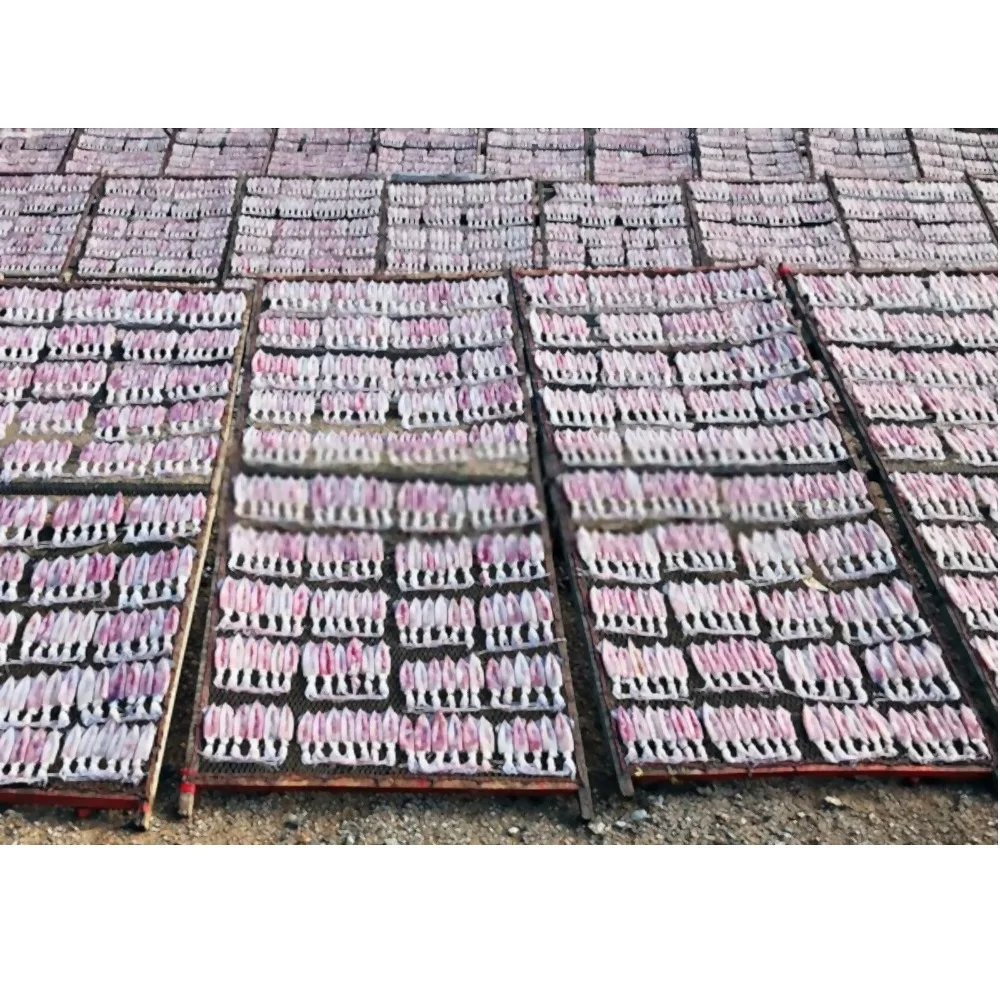 Factory Price Nutritious and Natural Dried Seafood Dried Squid Calamari  With Bulk Packaging From Vietnam
