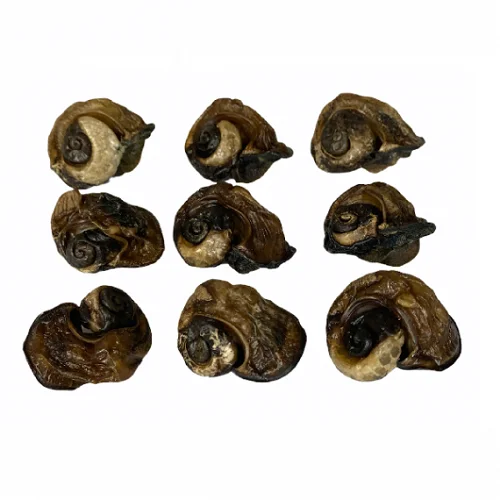 Оригинальные сушеные большие африканские улитки по дешевой оптовой цене