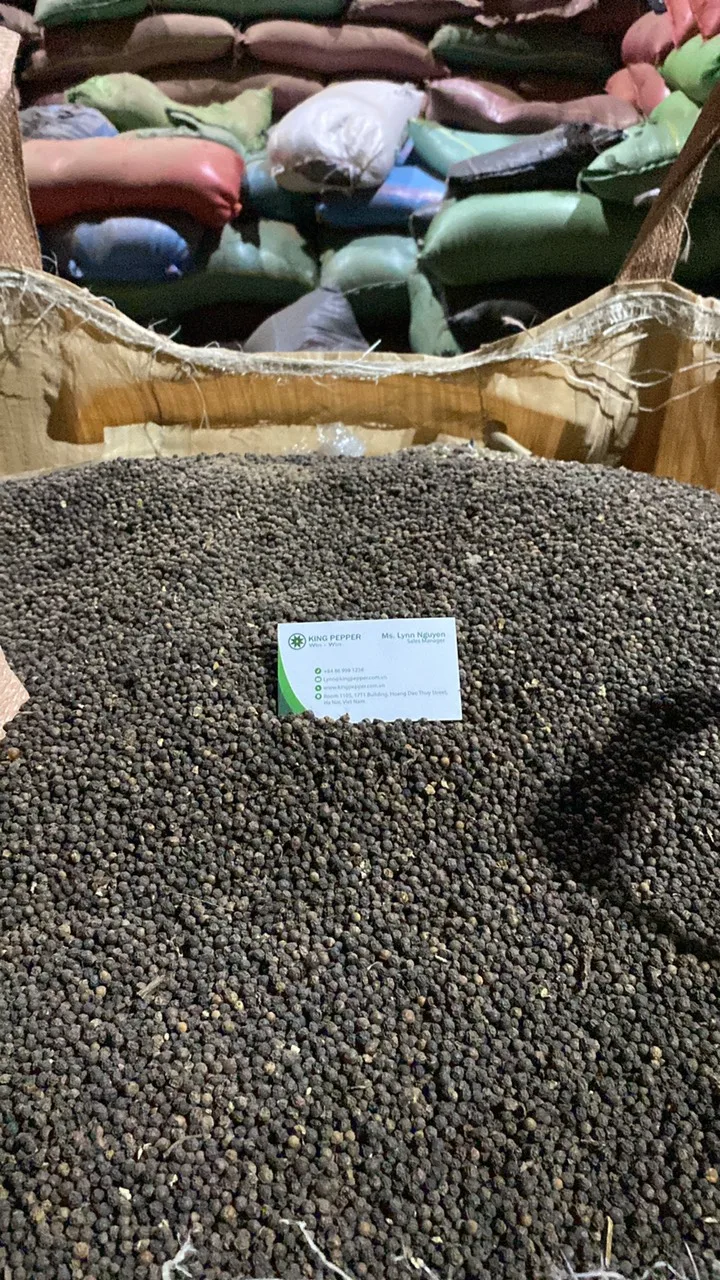 Черный перец самый продаваемый высококачественный Цейлонский черный премиум-класса-цельный от фабрики Phalco Vietnam