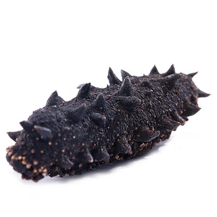 Wholesale Greece High Quality Fresh Seafood Fresh Delicious Dried Wild Animal Sea Cucumber