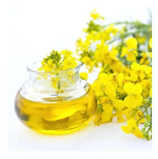 Crude Rapeseed oil Certified Organic 100 % Pure Refined Rapeseed Oil