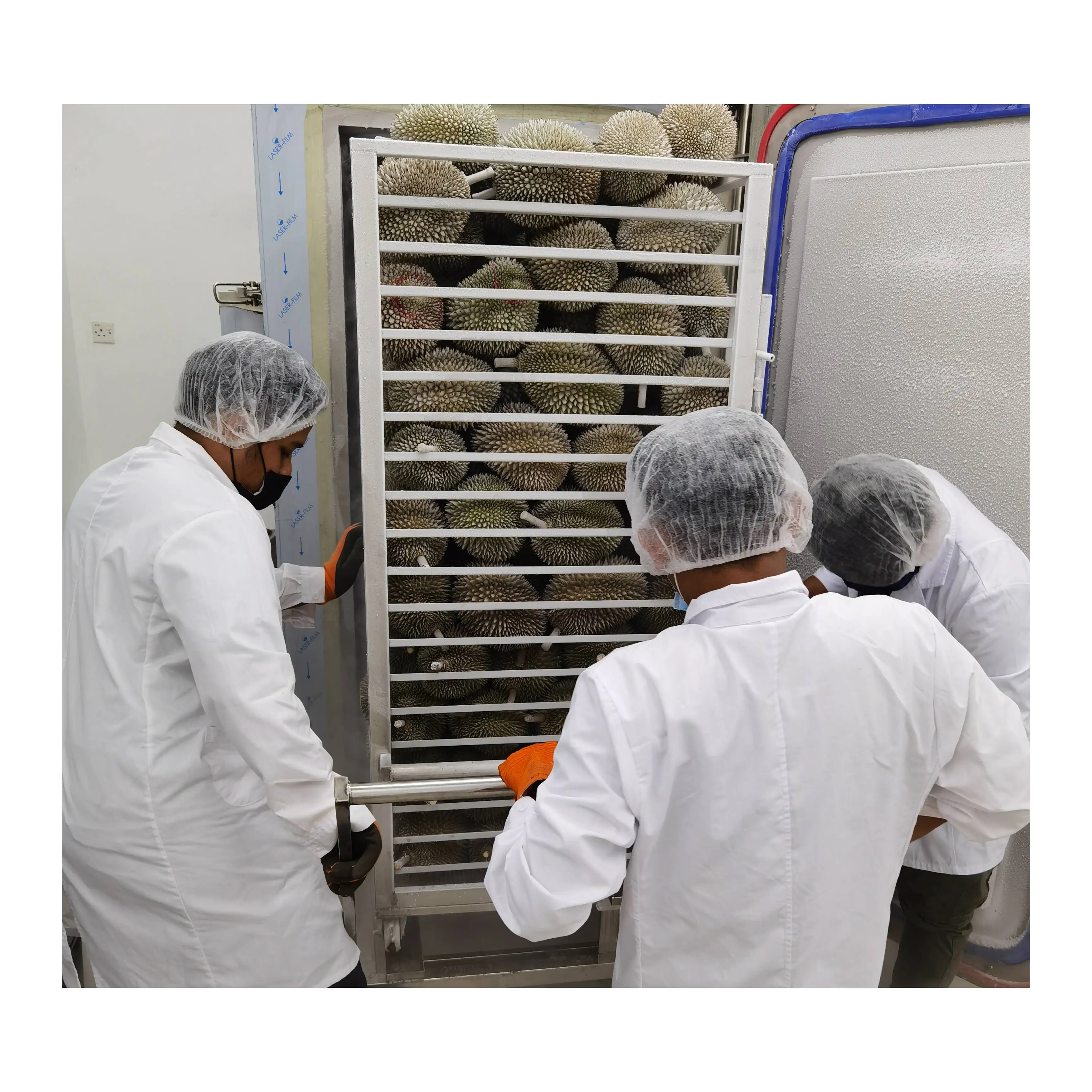 Higher Grade Hot Sales Malaysia 1.4kg Weight Delicious Golden Phoenix Fresh Durian 18 Months Shelf Life Fruit Netting Packaging