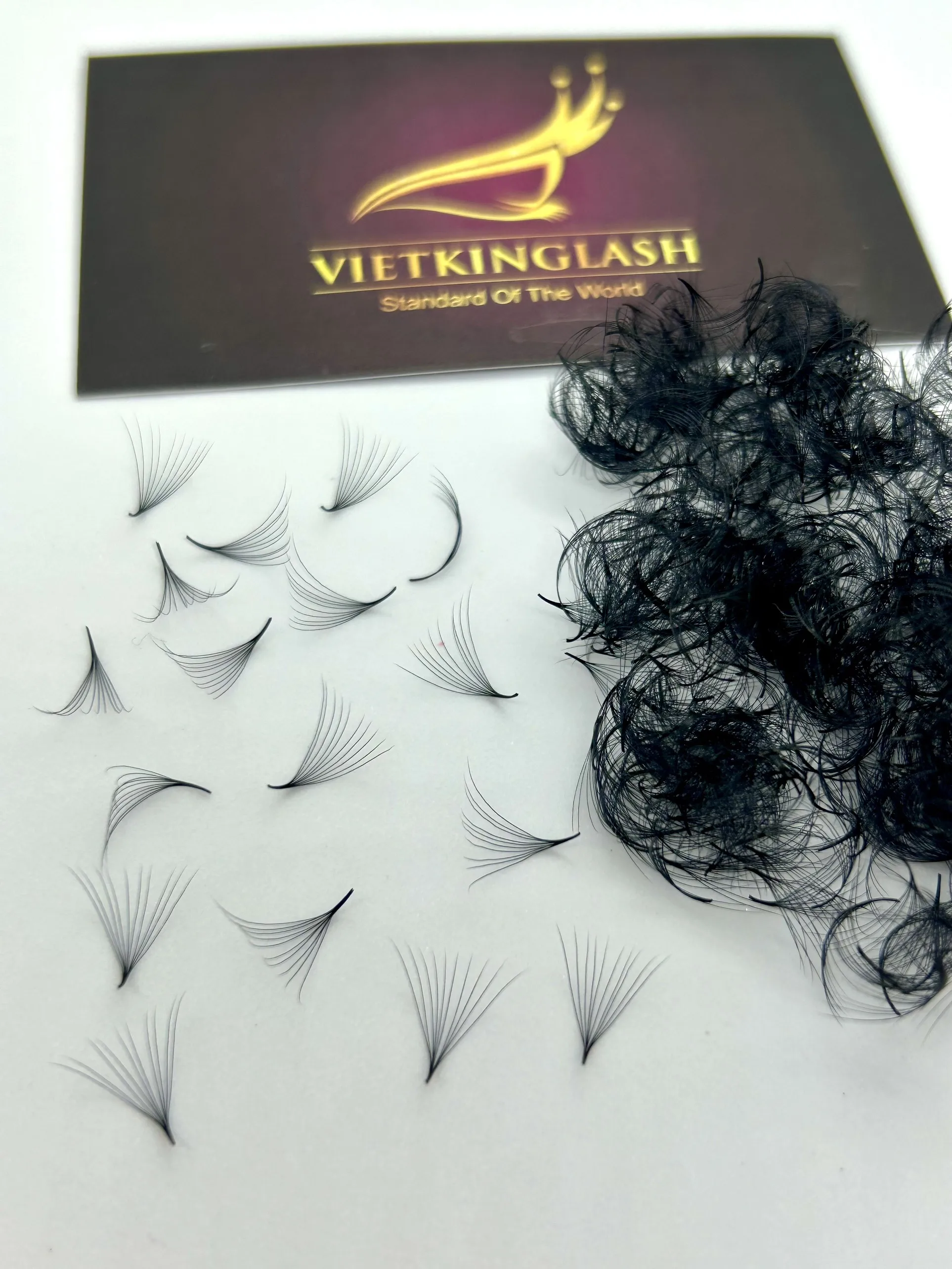 Wholesale Price Private Label Loose Fan Lashes 500/1000 Fans Long Volume Fans Eyelash Extensions Natural Black Super Smooth