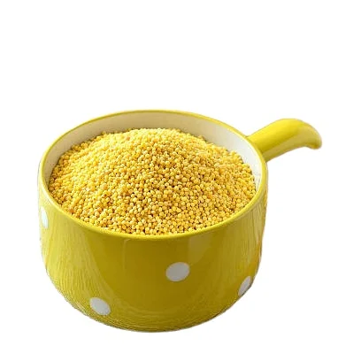 Индивидуальный натуральный мелкий просо, оптовая продажа, большое количество проса, экспортер из Индии