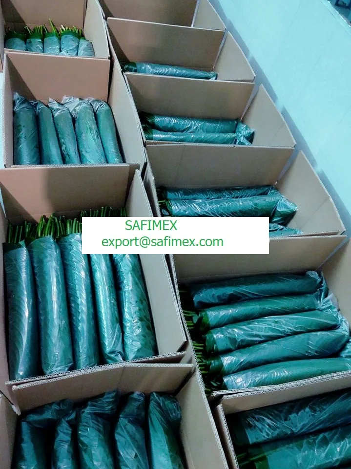 Вьетнамские листья Dong для обертывания бан Чжун и еды