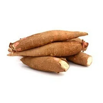 For Sale Low Price 100% Natural Fresh Cassava Chips Packed in Jumbo Bag From Sliced