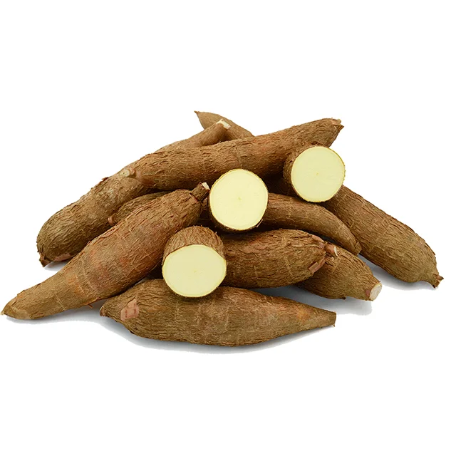 High Quality Vietnamese Tapioca from Nature helps to nourish the body and make snacks