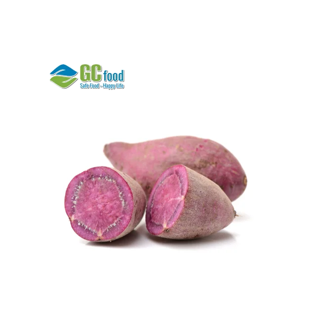 ( Hot Selling ) Fresh clean potato - Potato fresh  with Best price and high quality/ LC-TT payment