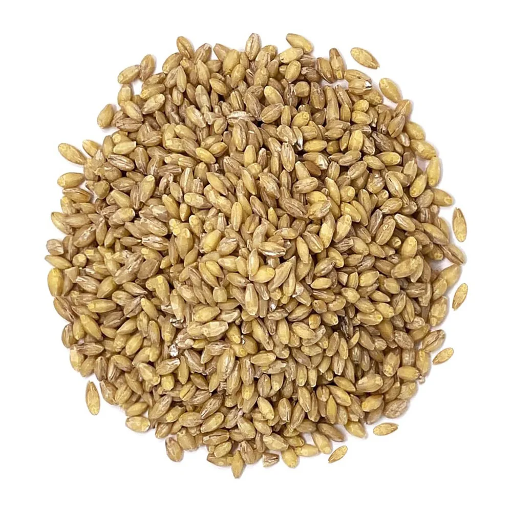 Высококачественный Экологически чистый продукт ячмени от российского производителя, цены на зерна и семена для продажи оптом