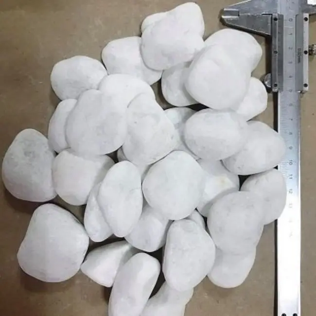Top Quality Snow White Pebble Stone Hot Selling Viet Nam Natural Stone Snow White for Decoration