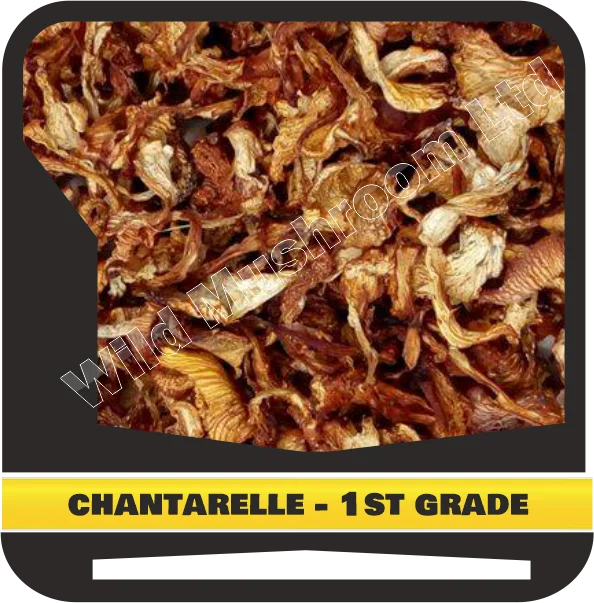 Dried Cantarellus cibarius  (Girolles, Pfifferlinge, Chantarelle, Kurka) - First grade. Natural Wild Fungus.