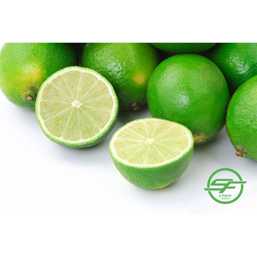 High quality citrus fruits Green Count Sweet Lemon Vietnam Lemons Natural Fresh Lemon For Export In Bulk