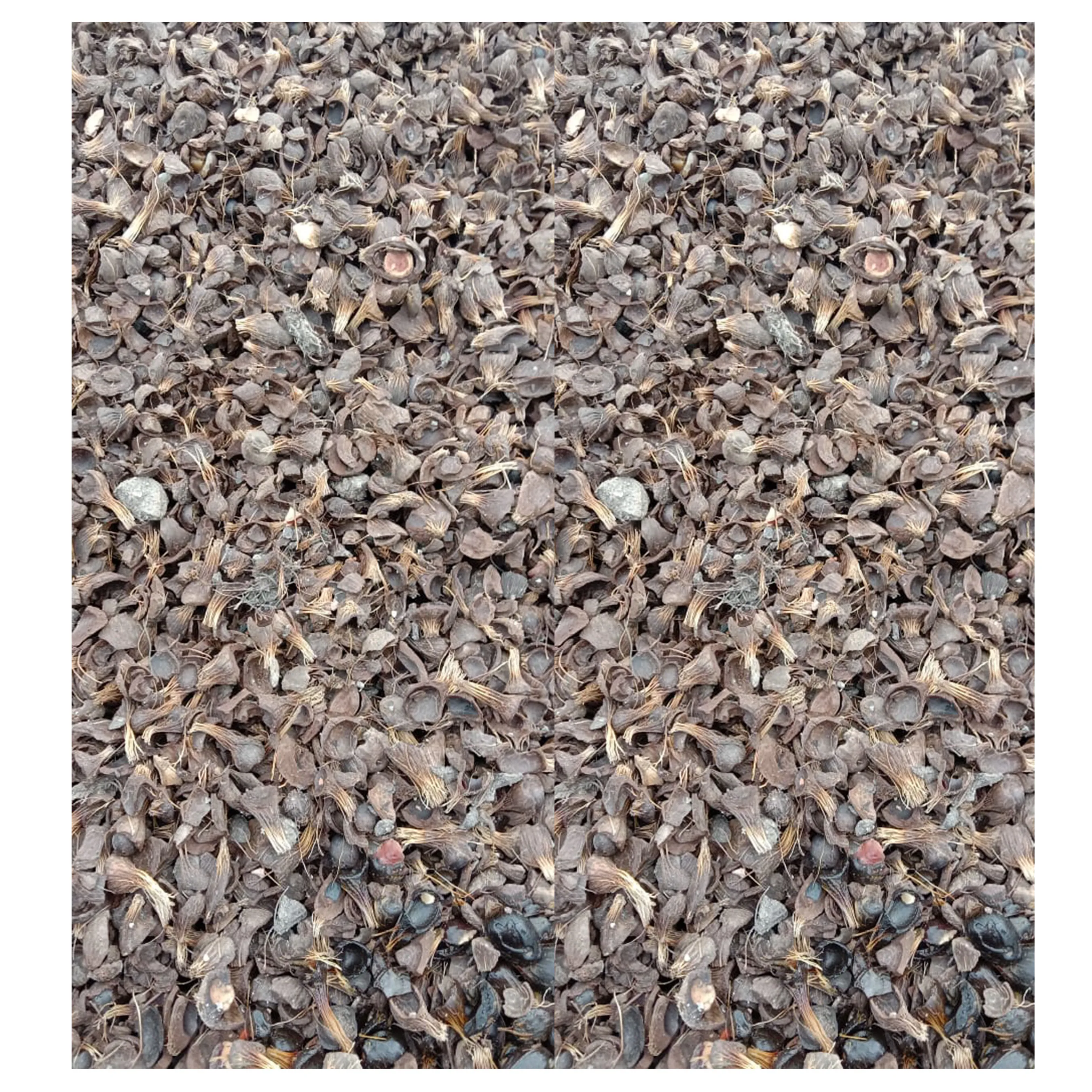 Best Quality Tenera Palm Kernel Shell From Indonesia