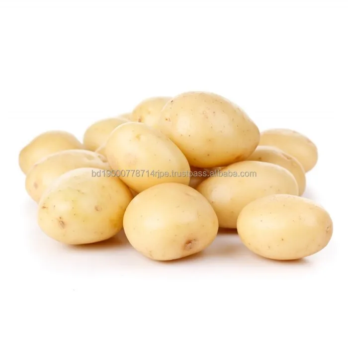 2023 Best Sale Premium Quality AUSTRIA Fresh Diamond Potato in a Wholesale Rate