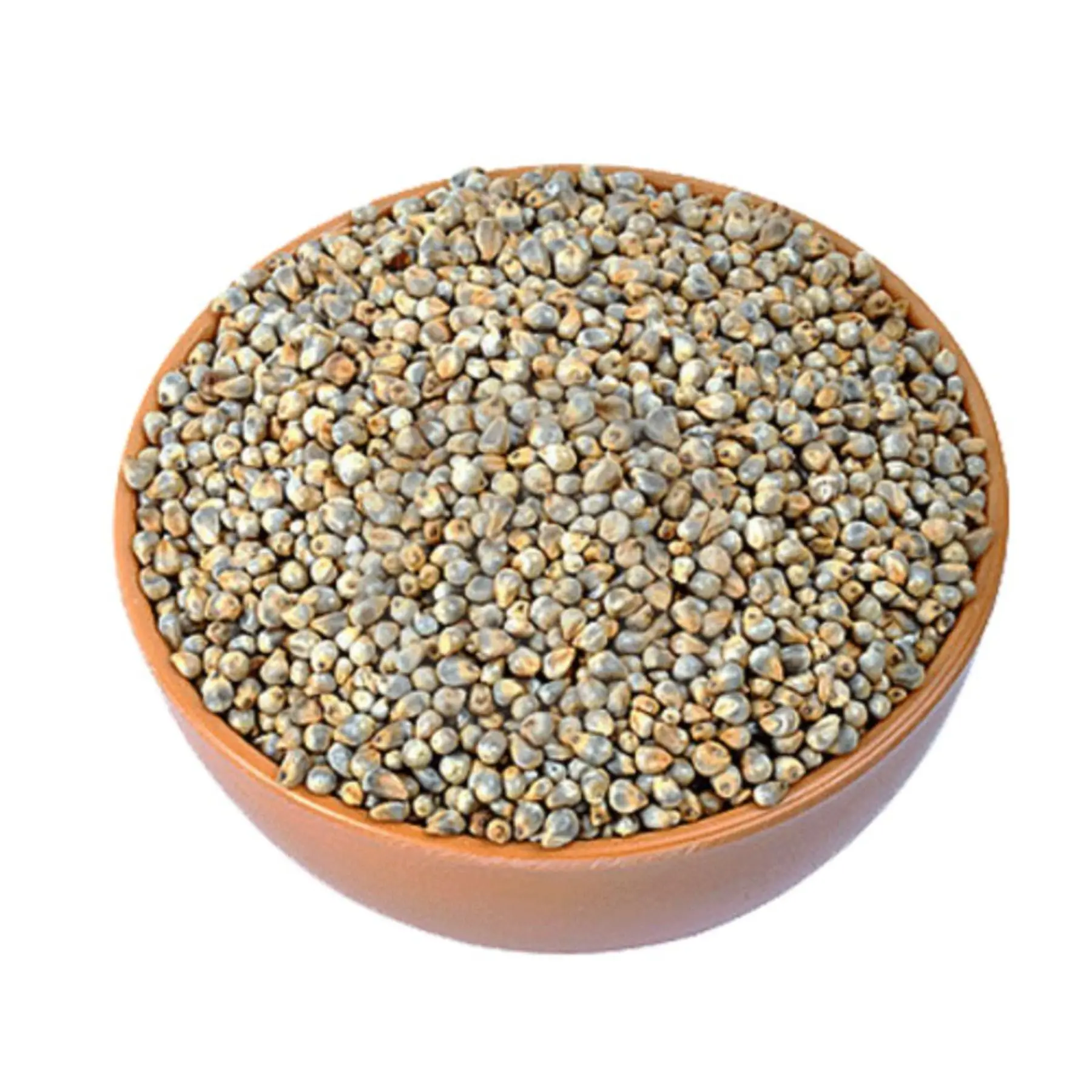 Natural  green millet yellow millet bajra Indian origin feeds