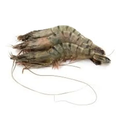 High Quality Sea Frozen Metapenaeopsis Barbata Shrimp 80/100