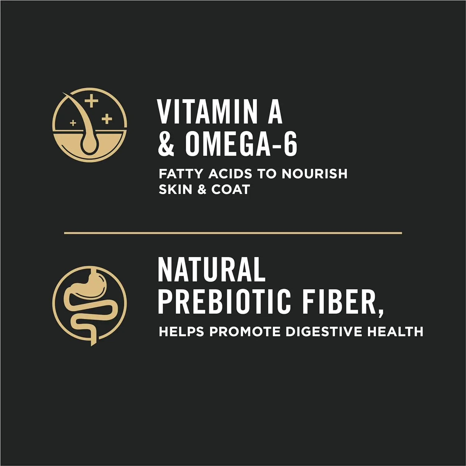 High Protein Dog Food with Probiotics for Dogs, Shredded Blend Turkey & Rice Formula