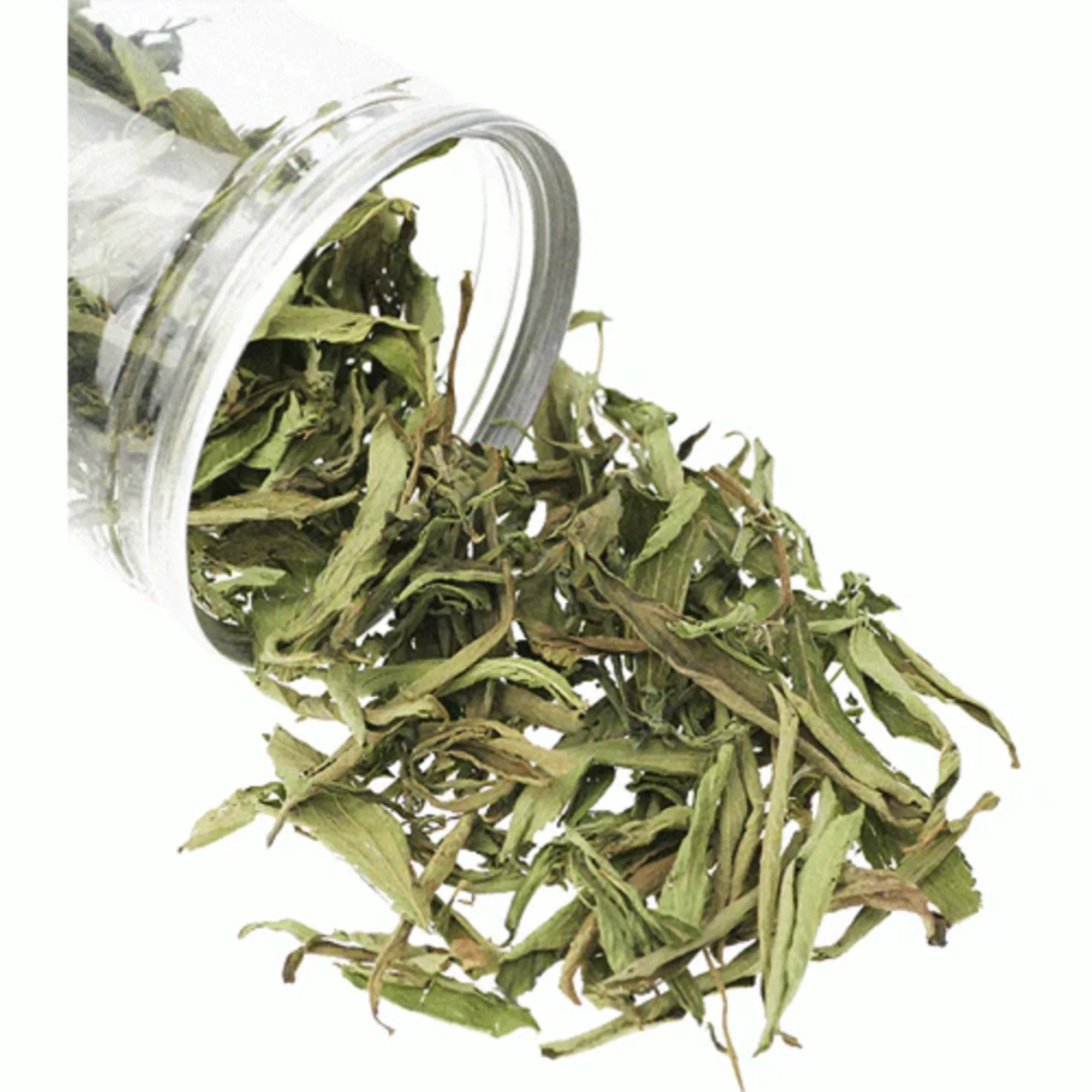 Factory Supply Bulk Health Organic Pure Loose Sweet Stevia Dry Leaf Natural Herbal Dried Stevia Leaves for Tea Extract