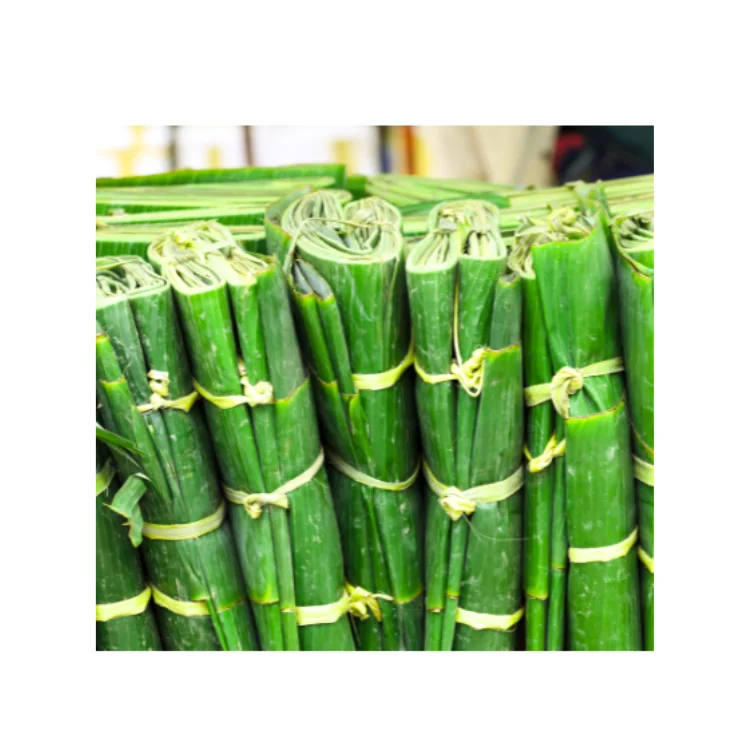 Fresh Banana Leaf For Food Stuff Replace To Plastic Bag Eco Friendly Wrapping Food Biodegradable Supplier New Crop Bulk Vietnam