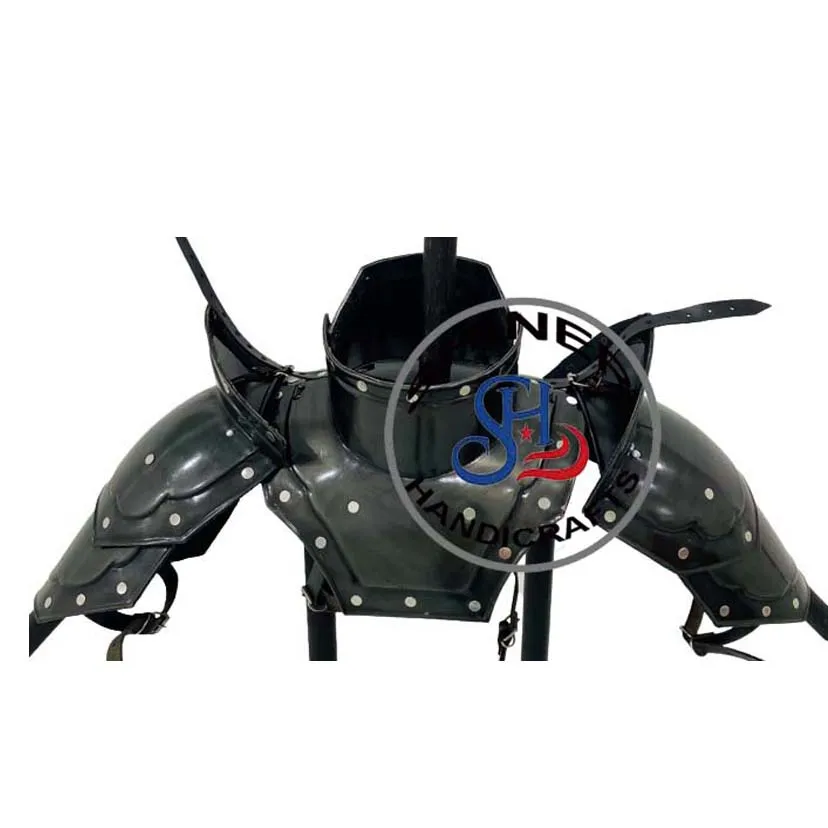 Medieval Knight Pair of Pauldrons with Gorget Sports Armor Shoulder Gorget Black Polished Costume Adult Size