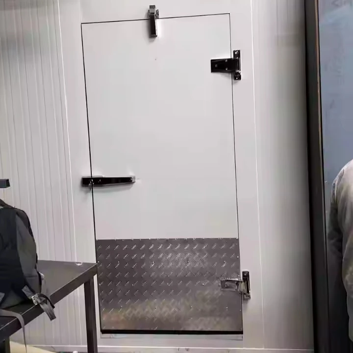 Affordable Prices Cold Rooms door SS Cold room door cold room door hinges