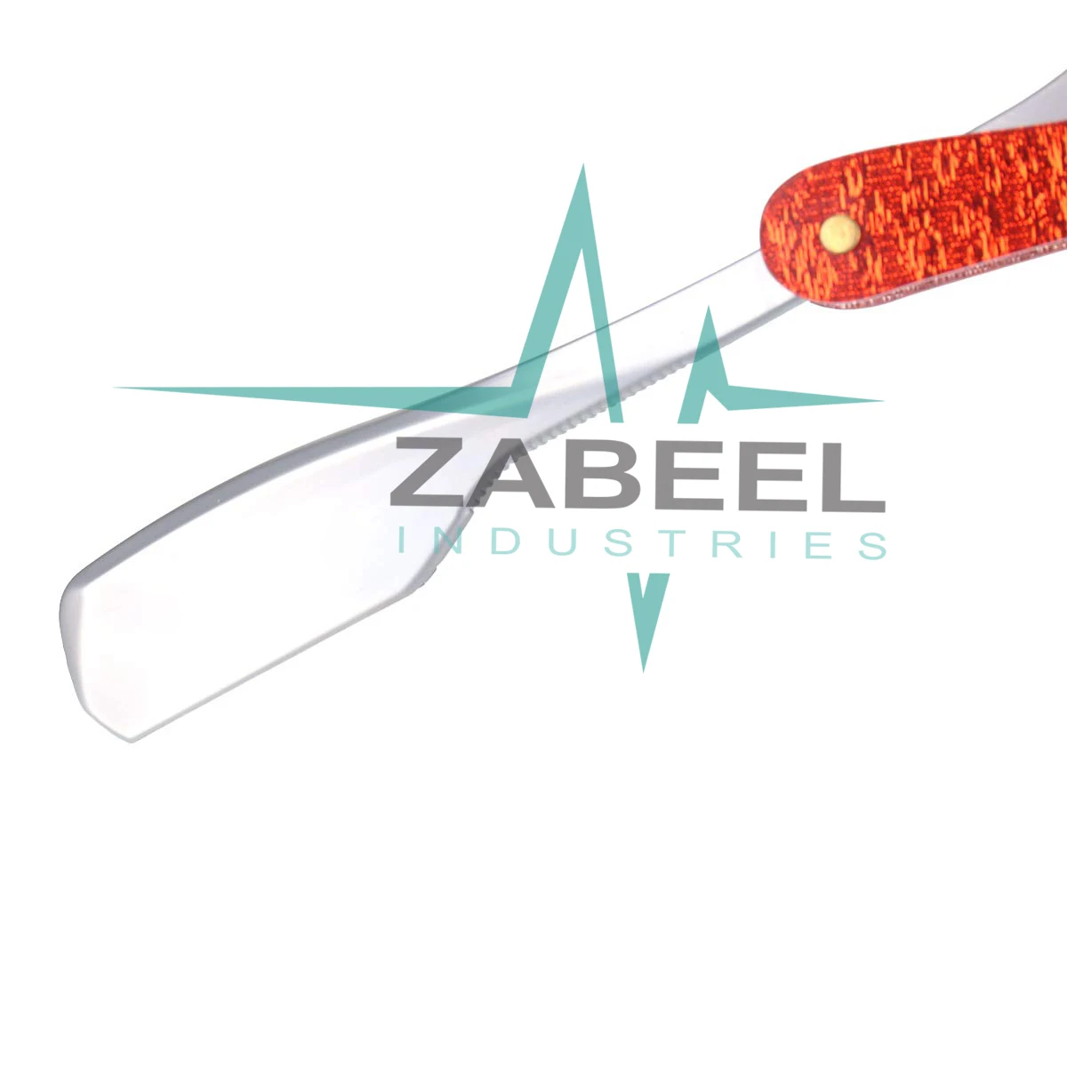 Straight Edge Razor Acrylic Scale with 10 Double Edge Blades Professional and Close Shaving By ZaBeel Industries