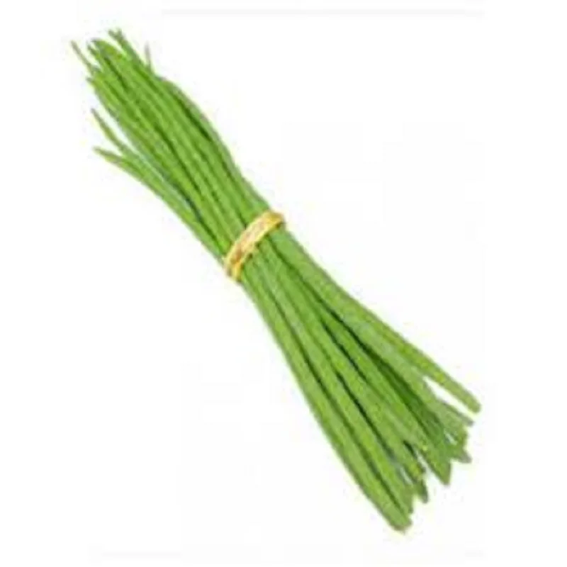 Fresh Green Drumstick Vegetable for export, Edible Fresh Drumstick Vegetable wholesale supply UK
