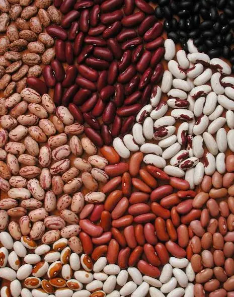 Red Kidney Beans, Round Red Kidney Beans, Best Red Speckled Beans Wholesale Dried Dark Red Kidney Bean For Sale