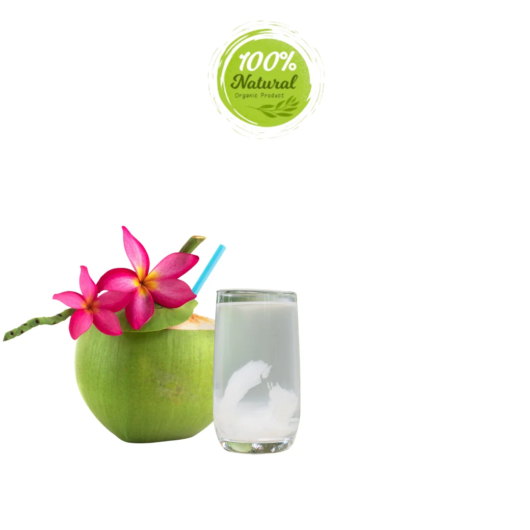 Fresh Coconut from Vietnam - Immersed in Purity