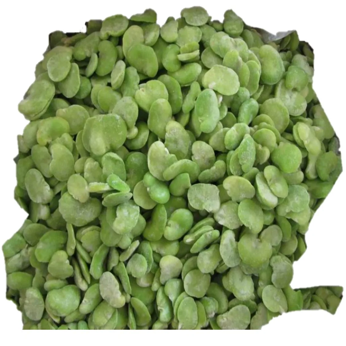 Fresh frozen organic broad beans at low wholesale price