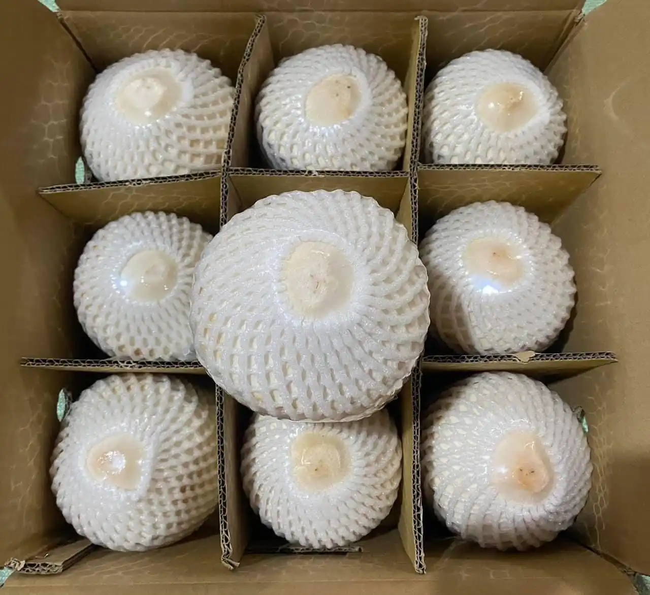 High Quality Vietnamese Fresh Coconut 100% Natural The Best Price In The Market