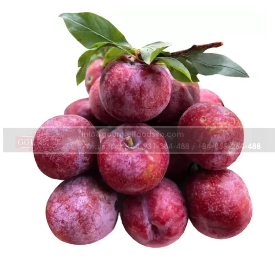 New Product 2022 Viet Nam Fresh Fruit Supplier High Quality Good Price Wholesales Fresh Plums Fruits (10000010086431)