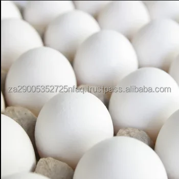 Broiler chicken eggs1.png