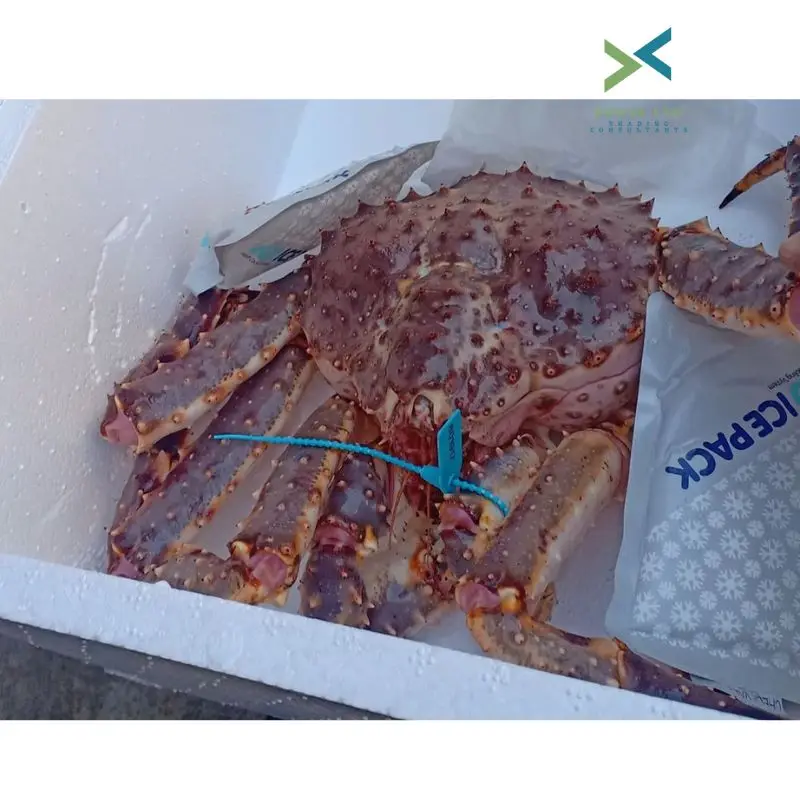 Замороженные морские воды Канада замороженные ножки Королевского краба целый Королевский Краб из
