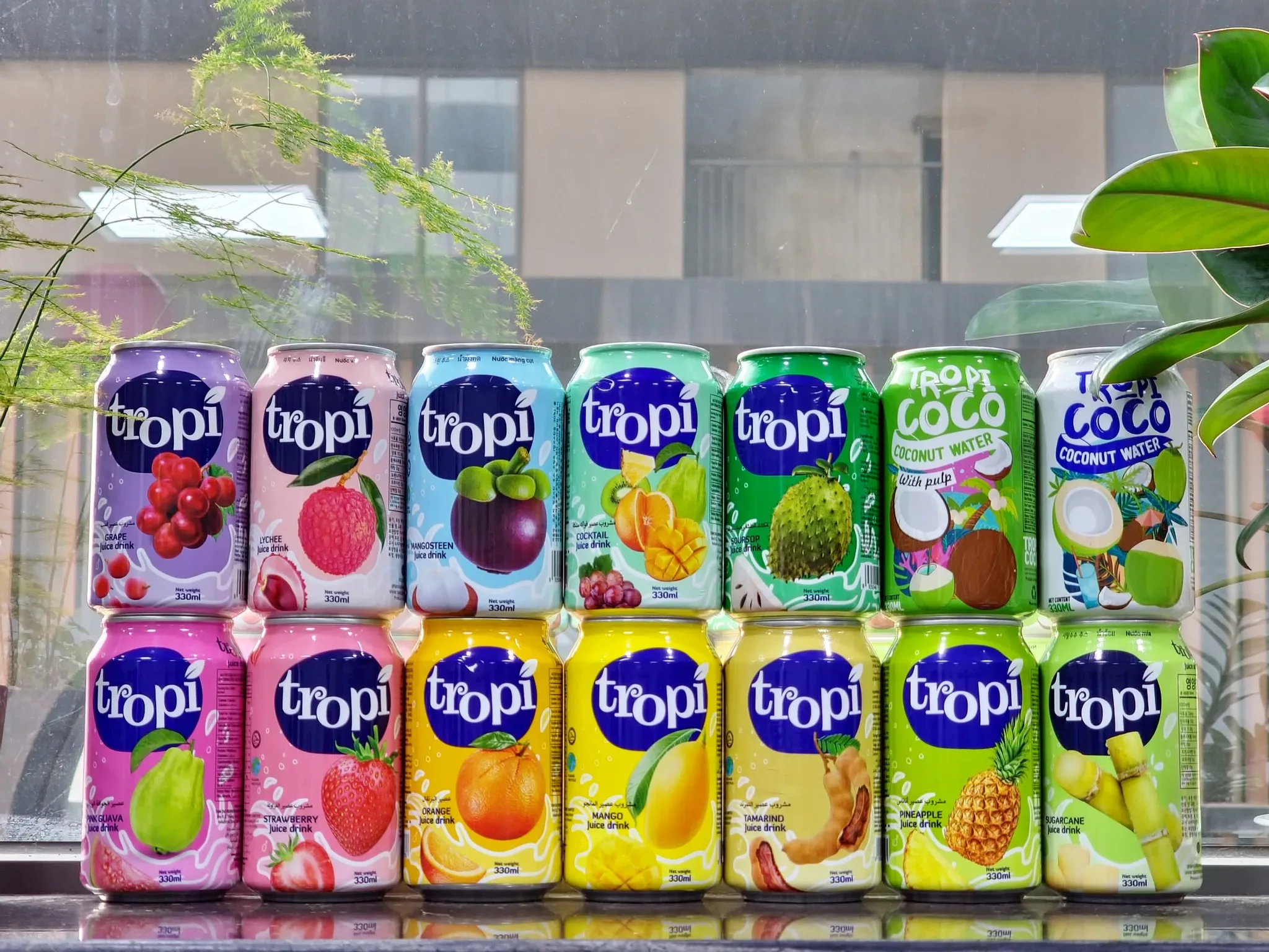 Natural Fruit Sugarcane - Wholesale Vietnam suppliers -Beverages manufacturer in 330ml/250ml cans - OEM/ODM soft drink