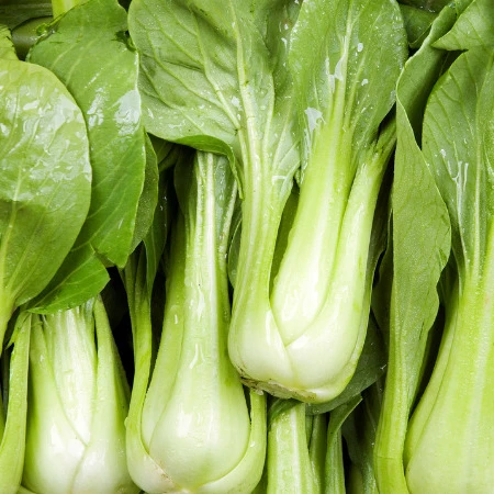 Top Agri Bok Choy Fresh Cabbage