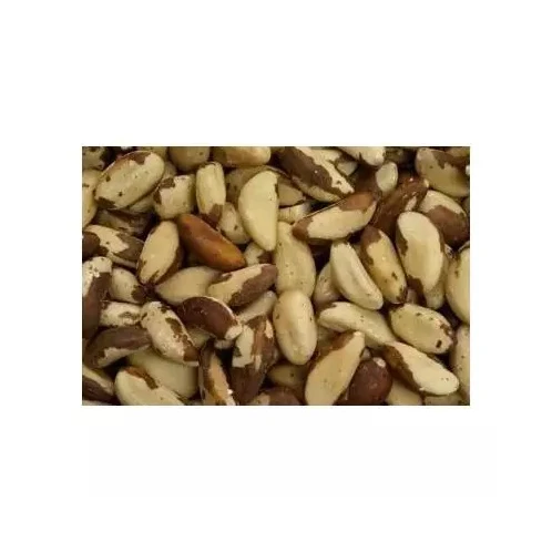 Top Grade Wholesale Brazil Nuts For Sale In Cheap Price