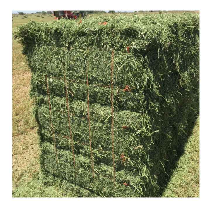 Natural Cattle Alfalfa Hay Animal Feed for sale